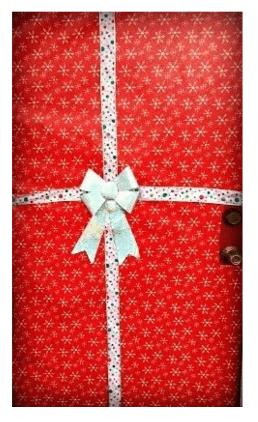 wrapped christmas door